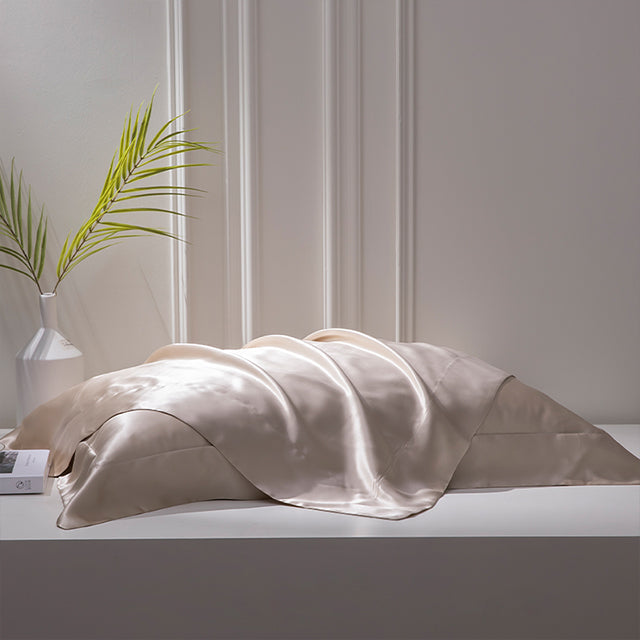 Silkdwell Pure Mulberry Silk Pillowcase-Champagne
